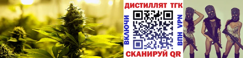 мега ТОР Мамадыш ТГК концентрат