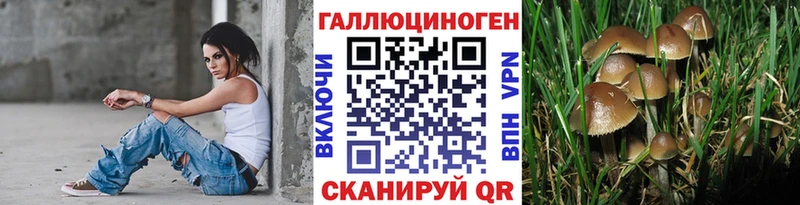 как найти закладки  Мамадыш  Галлюциногенные грибы прущие грибы 